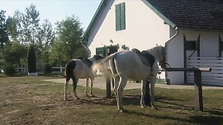 Double penetration party (Full Movie)