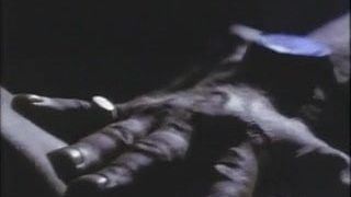 Liz (I lust och nod) (1976)